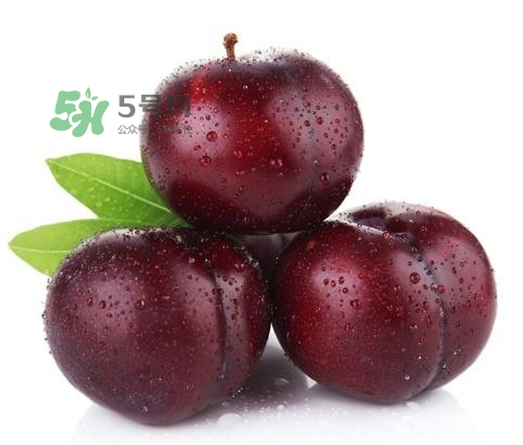 黑布林可以泡酒嗎？黑布林怎么吃？