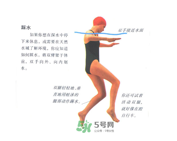 游泳怎么踩水？游泳踩水技巧圖解