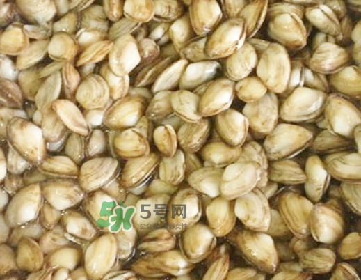海瓜子怎么做好吃？海瓜子怎么清洗