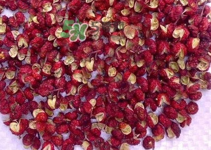 花椒水泡腳能降血壓嗎？泡腳是干花椒好還是鮮花椒好