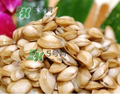 海瓜子怎么養(yǎng)？如何挑選海瓜子