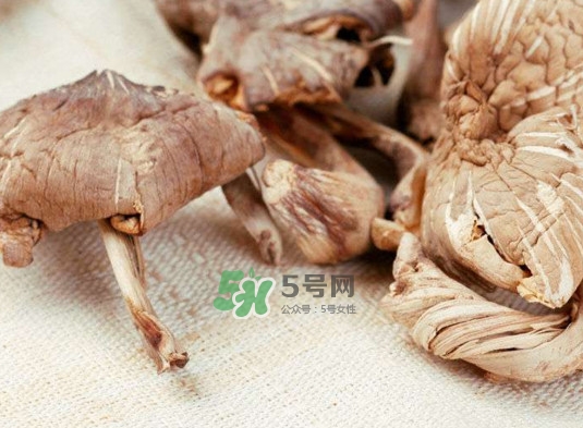 雞樅菌怎么讀？雞樅菌怎么做好吃？