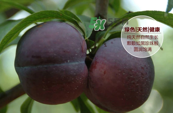 黑布林什么時(shí)候吃最好？黑布林什么人不能吃？