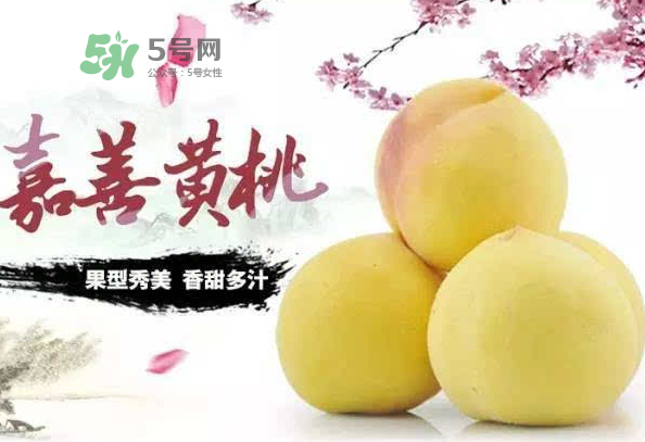 嘉善黃桃多少錢一斤？嘉善黃桃的上市時間