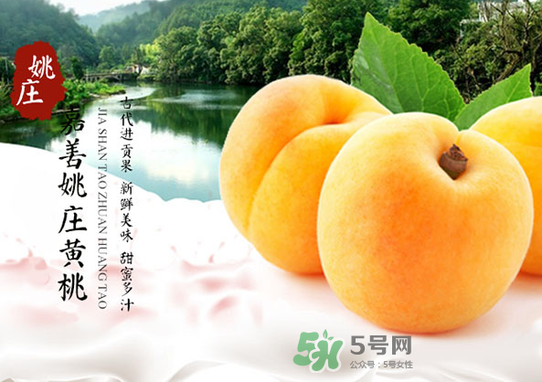 嘉善黃桃多少錢一斤？嘉善黃桃的上市時間