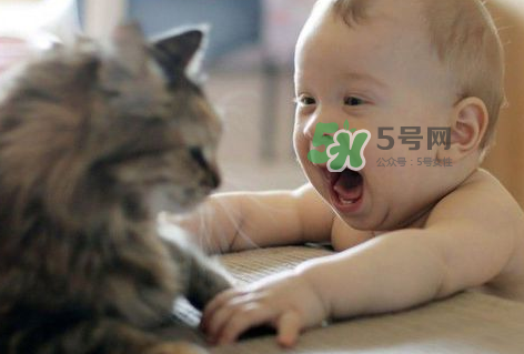 嬰兒被貓抓了怎么辦？嬰兒被貓咪咬了怎么辦？