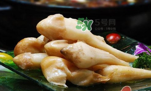 雞樅菌什么時(shí)候有？雞樅菌生長(zhǎng)在什么地方