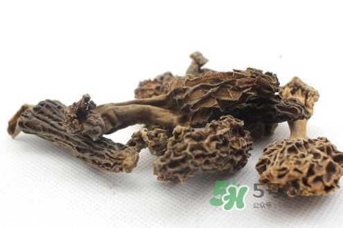 羊肚菌能治什么??？羊肚菌能冷凍保鮮嗎