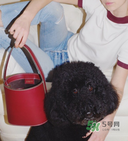 staud水桶包多少錢？staud水桶包專柜價格