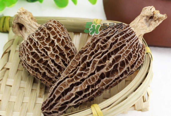 羊肚菌為什么那么貴？羊肚菌為什么這么貴