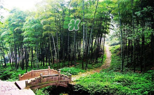 夏天去哪里旅游最好？夏天旅游哪里涼快？