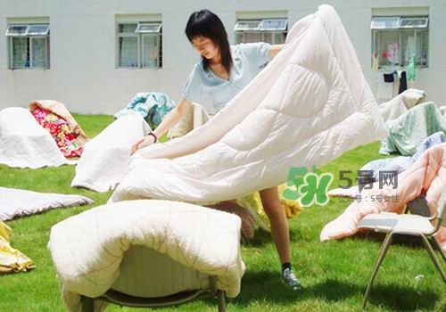 三伏天能曬被子嗎？三伏天曬被子好嗎？