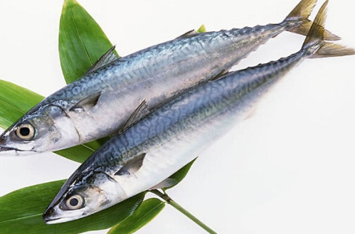 鳡魚(yú)吃什么？翹嘴魚(yú)和鳡魚(yú)有什么區(qū)別