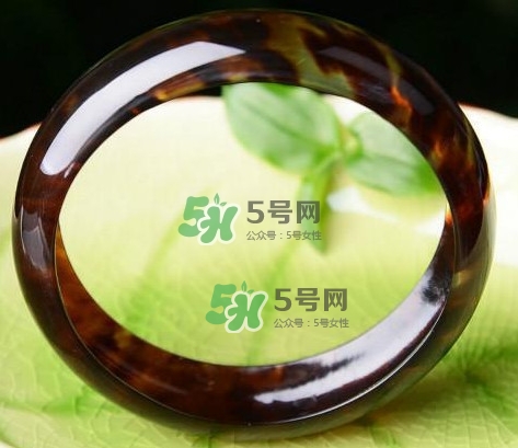 玳瑁是什么？玳瑁是國家保護動物嗎？
