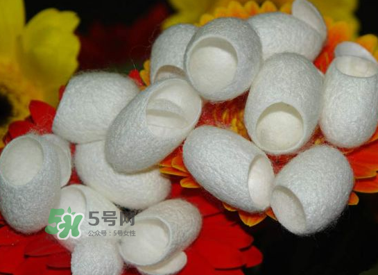 蠶繭多少錢(qián)一斤2017？2017年蠶繭價(jià)格是多少？