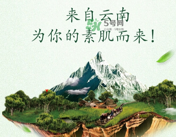 采之汲是什么牌子？采之汲是什么檔次？
