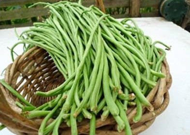 缸豆可以包餃子嗎？缸豆能放冰箱嗎