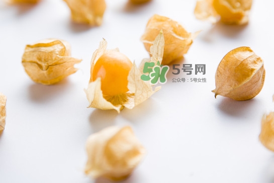 菇娘是寒性還是熱性？菇娘是哪里產(chǎn)的