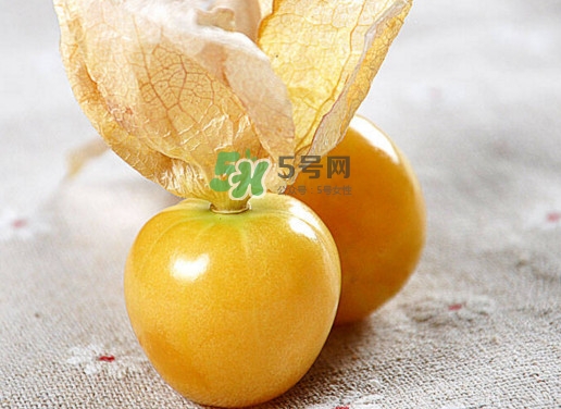 姑娘果可以直接吃嗎？姑娘果多吃有什么害處
