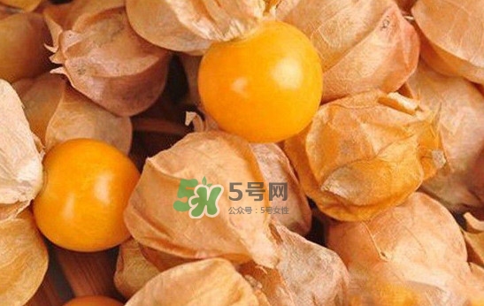 姑娘果怎么挑選？姑娘果產(chǎn)地在什么地方
