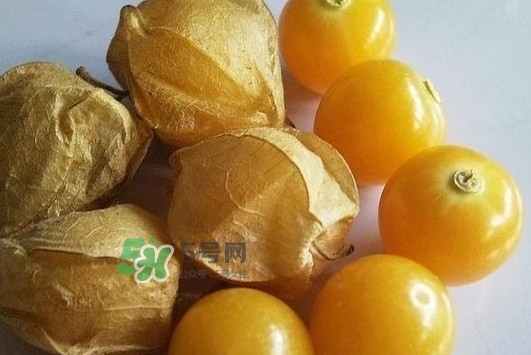 菇娘果皮有用還是果實(shí)有用？紅菇娘泡水喝用皮還是用果