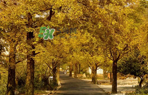 9月份去浙江穿什么？九月份去浙江穿什么衣服