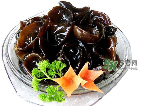 木耳菜是什么季節(jié)的菜？木耳和木耳菜有區(qū)別嗎