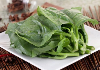 木耳菜和什么食物相克？木耳菜不能和什么一起吃