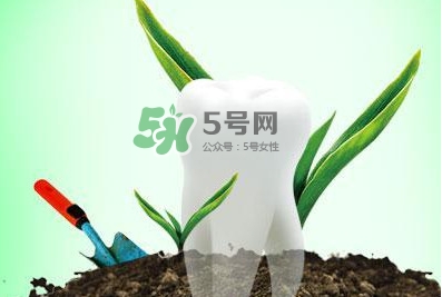 種植牙多少錢一顆？為什么種植牙很貴
