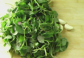 野莧菜怎么做好吃？野莧菜怎么保存