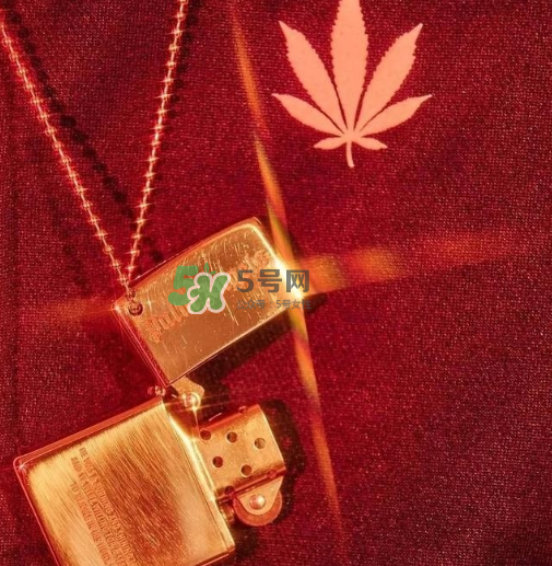 palm angels是什么牌子_哪個(gè)國家的_什么檔次？