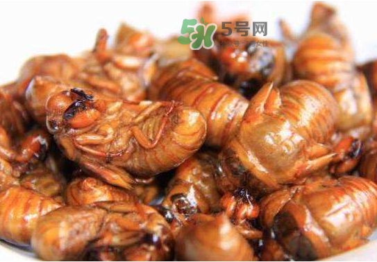 立秋后的知了還能吃嗎？立秋還有知了猴嗎？