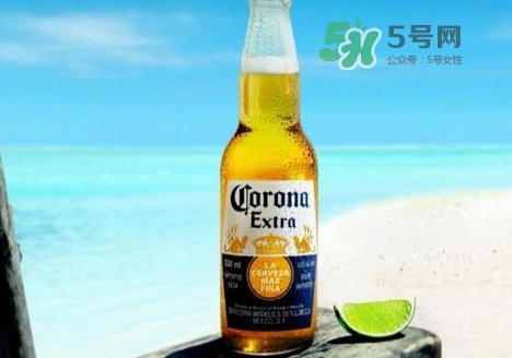 科羅娜啤酒多少錢一瓶？科羅娜啤酒好喝嗎