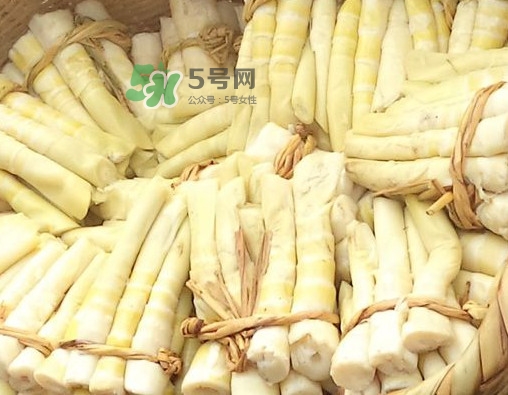 苦筍做法有哪些？苦筍怎么處理才不會苦