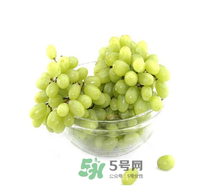 馬奶葡萄是提子嗎？馬奶葡萄怎么洗？