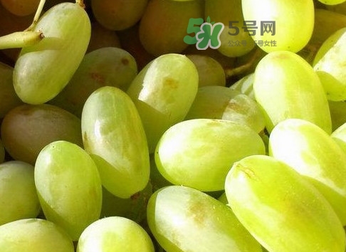 馬奶葡萄是提子嗎？馬奶葡萄怎么洗？
