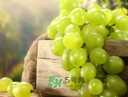 馬奶葡萄幾月成熟？吃馬奶葡萄有什么好處？