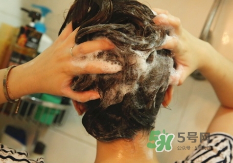 hair recipe水果洗發(fā)水怎么樣？hair recipe洗發(fā)水哪款好用