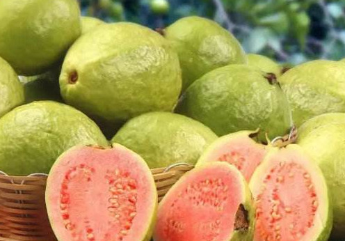 芭樂多少錢一斤？紅心芭樂多少錢一斤