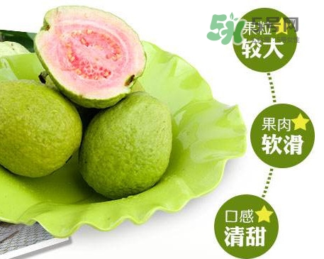 芭樂(lè)怎么挑選？如何挑選紅心芭樂(lè)