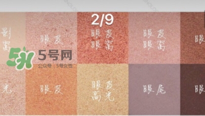 zoeva玫瑰金眼影盤怎么畫？zoeva rose golden畫法教程