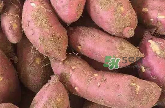 地瓜發(fā)芽了怎么種盆栽？拔絲地瓜怎么熬糖