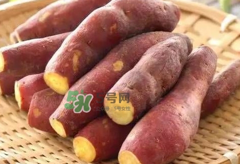 地瓜怎么做好吃？地瓜怎么吃好吃