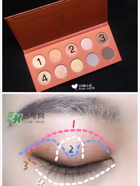 zoeva玫瑰金眼影盤怎么畫？zoeva rose golden畫法教程