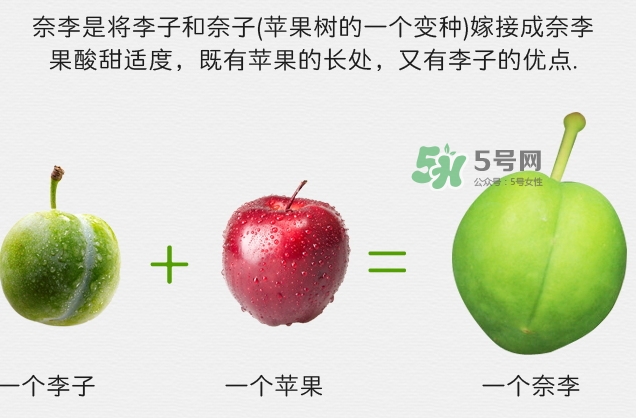 月經(jīng)期間可以吃奈李嗎？來(lái)月經(jīng)可以吃奈李嗎