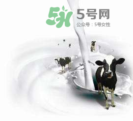牛初乳孕婦可以吃嗎？牛初乳產(chǎn)婦可以吃嗎？