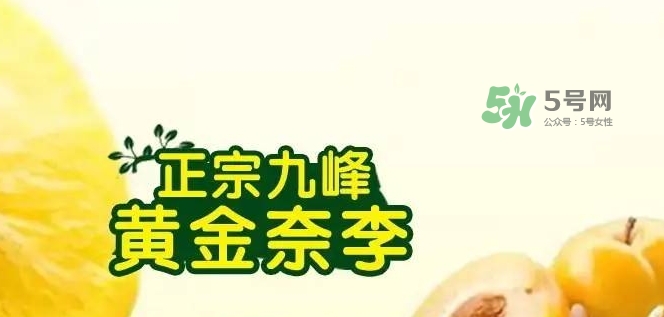 黃金奈李多少錢一斤？黃金奈李價(jià)格