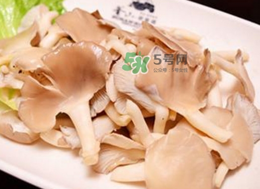 秀珍菇孕婦可以吃嗎？孕婦能吃秀珍菇嗎