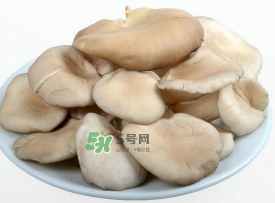 秀珍菇可以和海帶一起吃嗎？海帶能和秀珍菇一起吃嗎