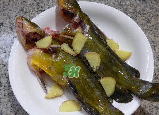 黃刺魚幾月份最好釣？黃刺魚怎么釣